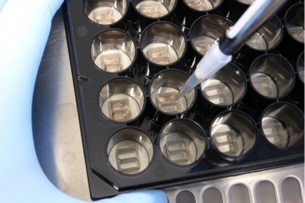 Image_Product_INS_Ibidi_CultureInsert2well24_1000x665_JPG_03 Image_Product_INS_Ibidi_CultureInsert2well24_1000x665_JPG_03