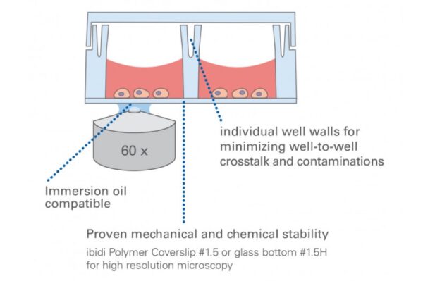Image_TEC_INS_Ibidi_Slide8WellHigh_03_1000x665_JPG Image_TEC_INS_Ibidi_Slide8WellHigh_03_1000x665_JPG