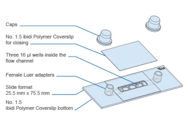 Image_TEC_INS_Ibidi_SlideLuer3D_1000x665_03_JPG Image_TEC_INS_Ibidi_SlideLuer3D_1000x665_03_JPG