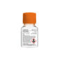 Image_INS_Corning_Cell_Culture_Supplements_1200x1200_JPG_02-1024x1024